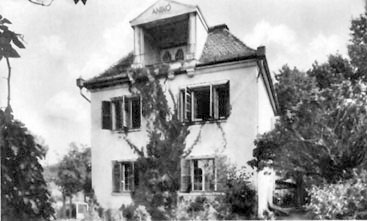 Vit�z-panzi� anno